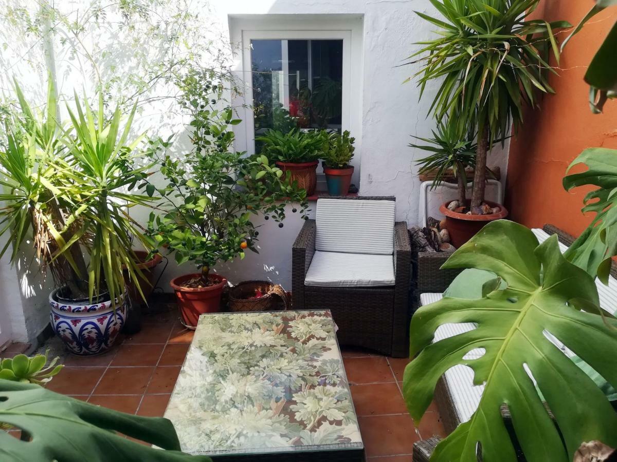 Arte Y Descanso En Sevilla Екстериор снимка